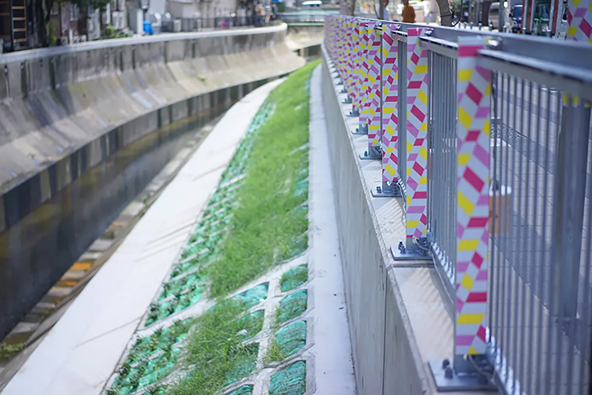 ｍｔ　ｍｅｅｔｓ　Ｓｈｉｂｕｙａ　Ｒｉｖｅｒ　Ｆｅｓ