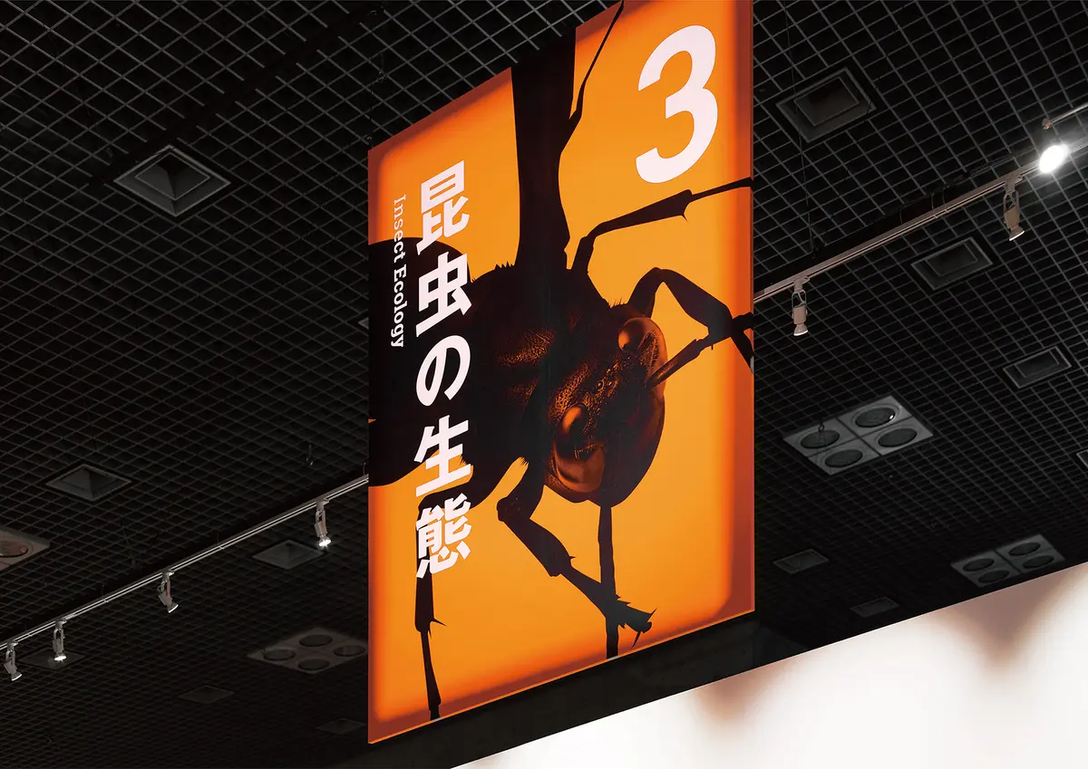 国立科学博物館 特別展 昆虫