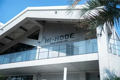 Hi-NODE