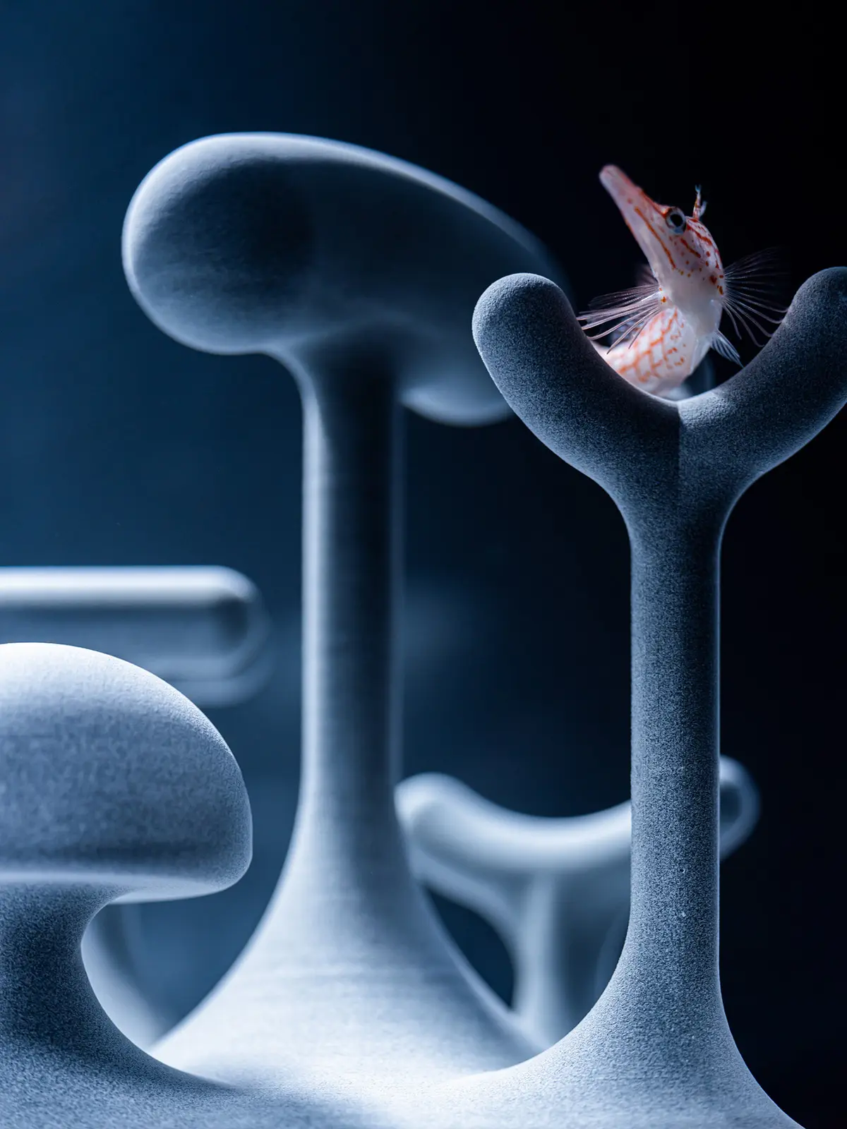 カタチとくらし