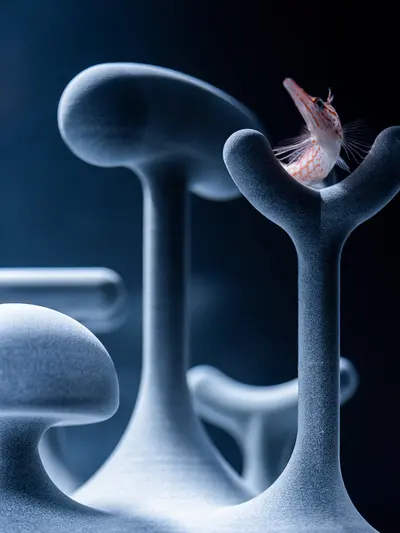 カタチとくらし