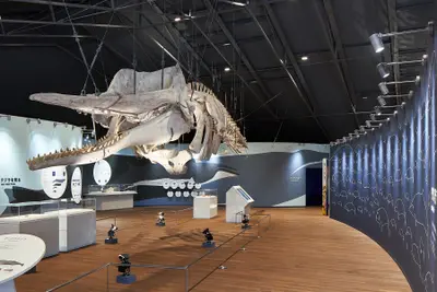 おしかホエールランド