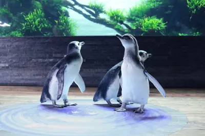 スリーペンギンズディスタンス