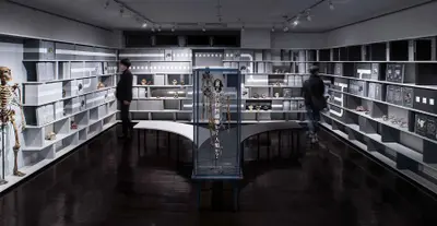 ふじのくに地球環境史ミュージアム　人類史ライブラリー