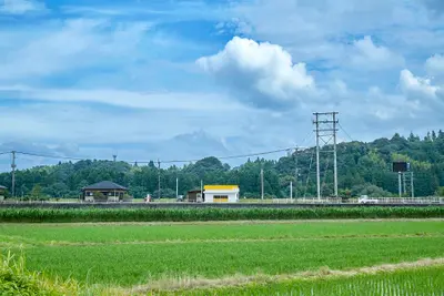 おひさまとくだもの