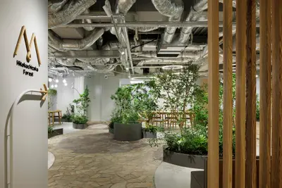 Hitokuchizaka Forest