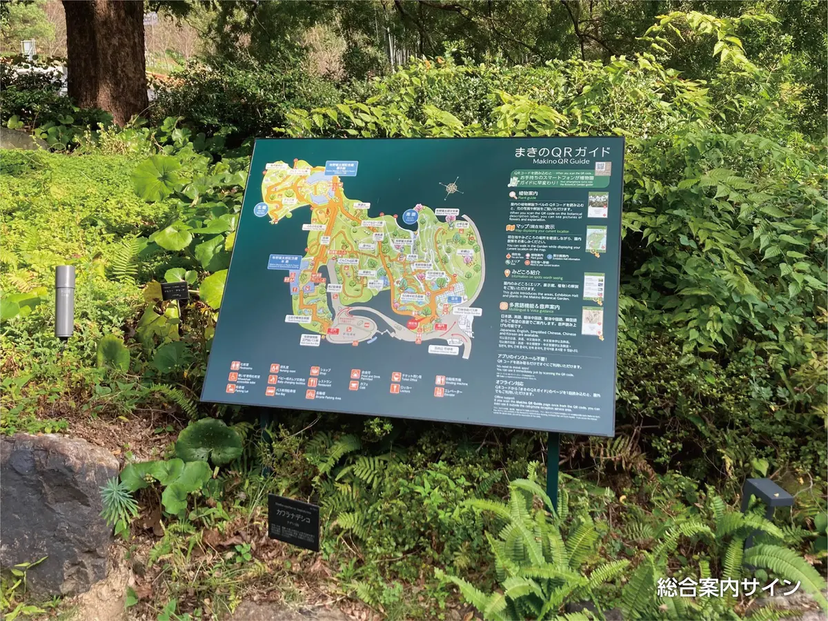 まきのQRガイド