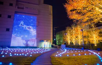 ロームイルミネーション２０１４「光のカレイドスコープ」