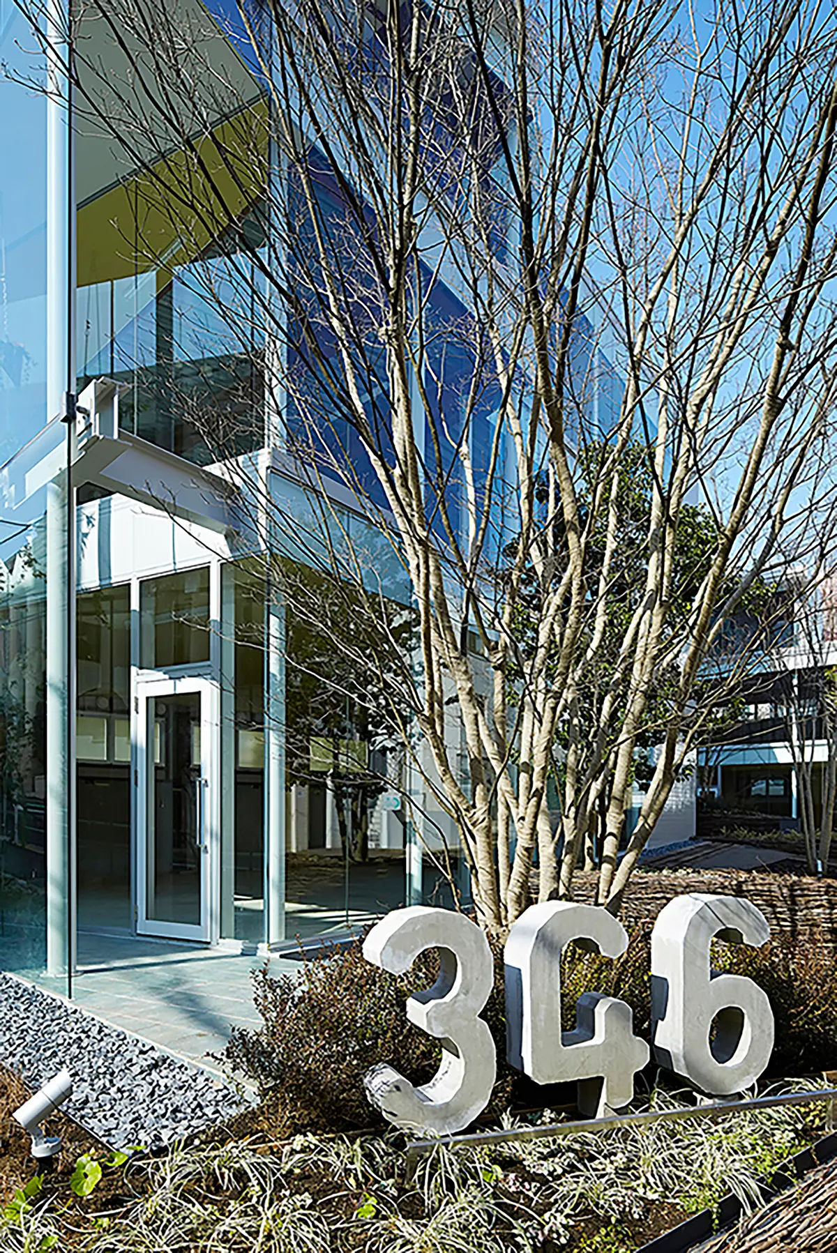 ＡＯＹＡＭＡ　３４６