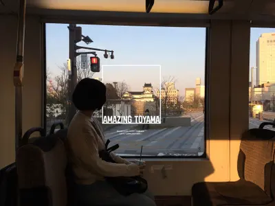 ＡＭＡＺＩＮＧ　ＴＯＹＡＭＡ