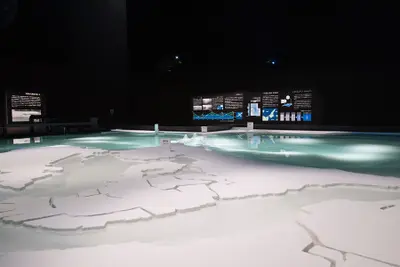 うずしお科学館