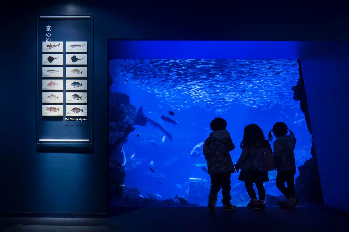 京都水族館　サインリニューアル