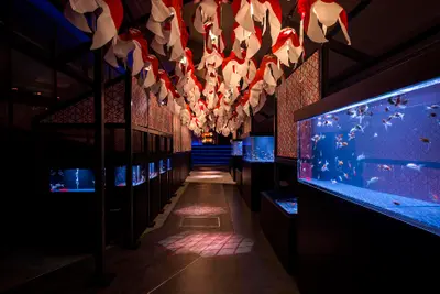 お江戸の金魚ワンダーランド