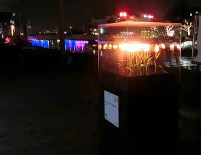 Floral illumination  : Light  of   Tokushima