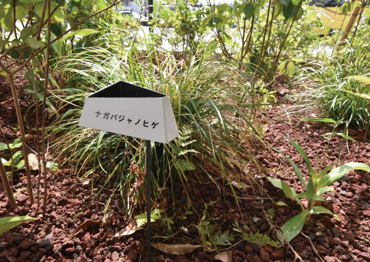 高蔵寺駅南口駅前広場樹名サイン