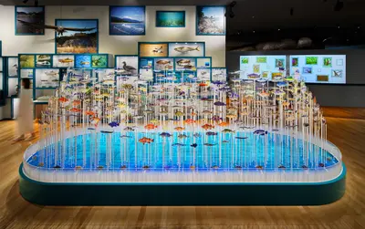 陸前高田市立博物館