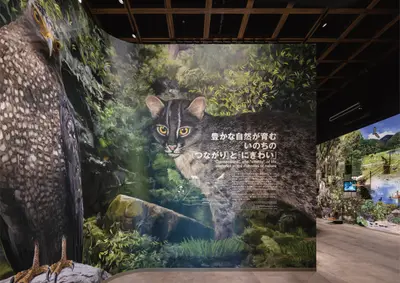 西表野生生物保護センター