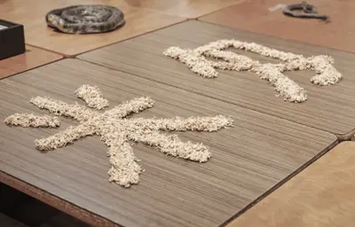 ふじのくに地球環境史ミュージアム企画展「イネ・米・田んぼ－人がつくる米＿米がつくる世界－」