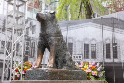 「忠犬ハチ公銅像」の渋谷シンボルとしての貢献に対して