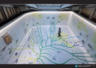 日和佐うみがめ博物館カレッタ